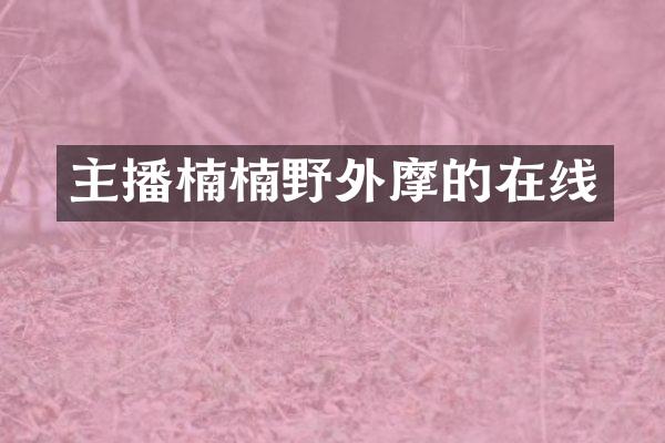 主播楠楠野外摩的在线