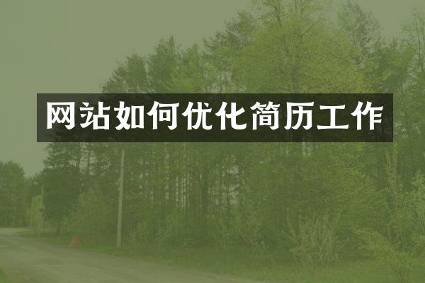 网站如何优化简历工作