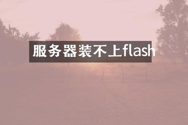 服务器装不上flash