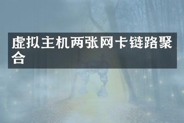 虚拟主机两张网卡链路聚合