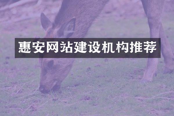 惠安网站建设机构推荐