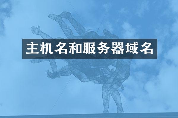 主机名和服务器域名