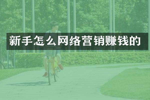 新手怎么网络营销赚钱的