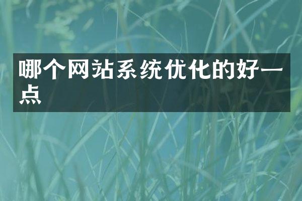 哪个网站系统优化的好一点