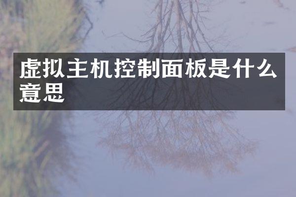 虚拟主机控制面板是什么意思