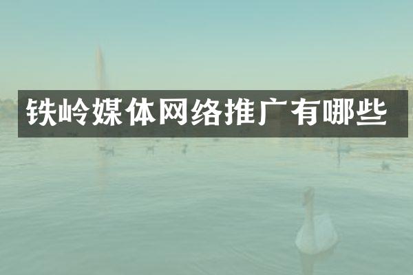 铁岭媒体网络推广有哪些