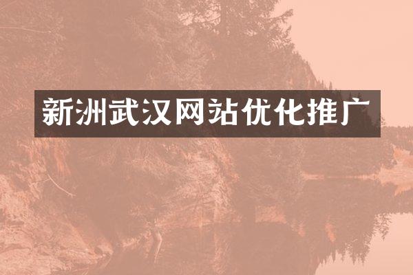 新洲武汉网站优化推广
