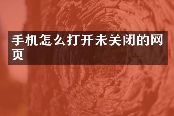 手机怎么打开未关闭的网页