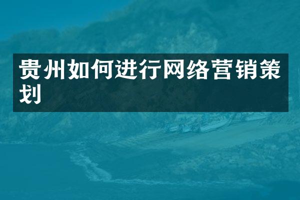 贵州如何进行网络营销策划