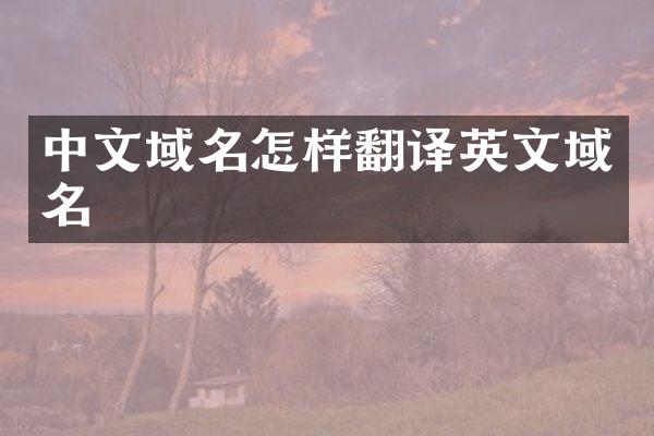 中文域名怎样翻译英文域名