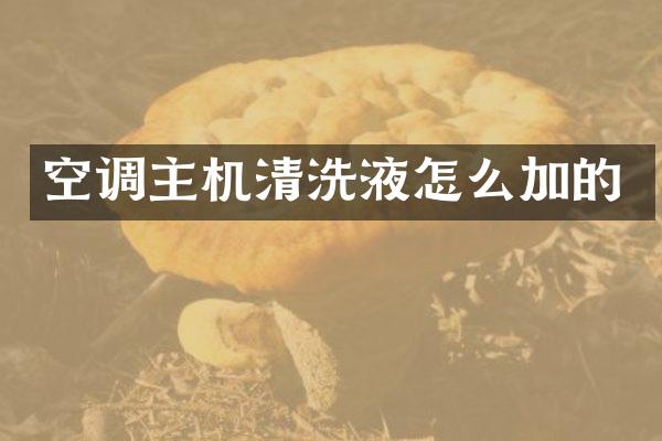空调主机清洗液怎么加的