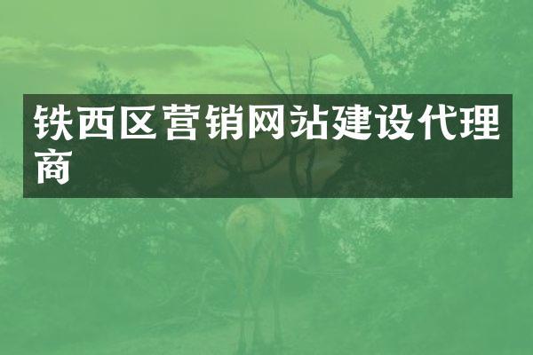铁西区营销网站建设代理商