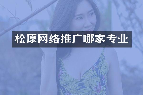 松原网络推广哪家专业