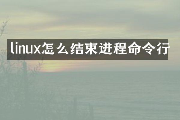 linux怎么结束进程命令行