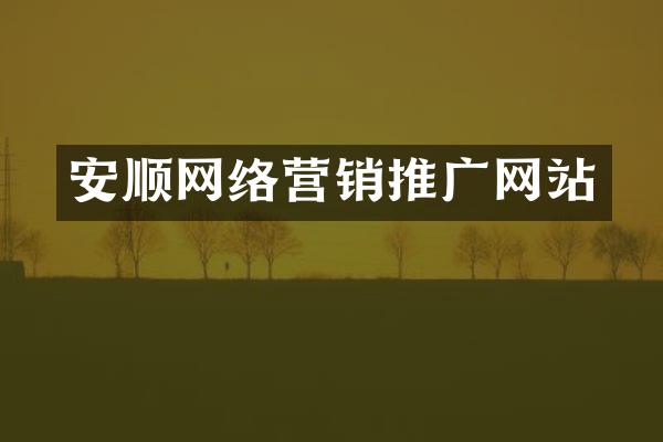 安顺网络营销推广网站