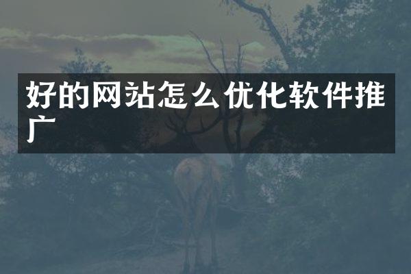 好的网站怎么优化软件推广