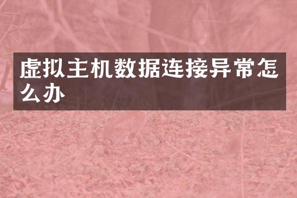 虚拟主机数据连接异常怎么办
