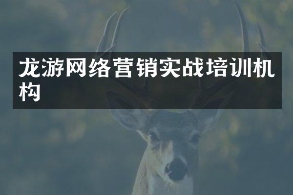 龙游网络营销实战培训机构