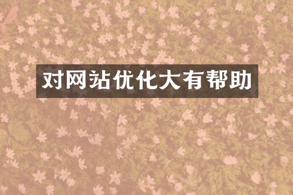 对网站优化大有帮助