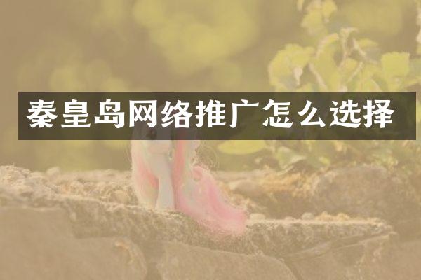 秦皇岛网络推广怎么选择