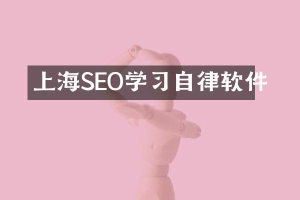 上海SEO学习自律软件