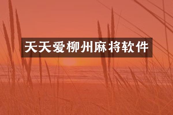 天天爱柳州麻将软件