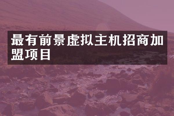 最有前景虚拟主机招商加盟项目