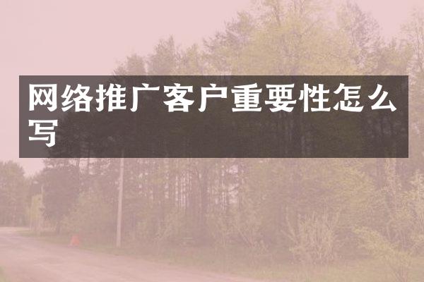网络推广客户重要性怎么写