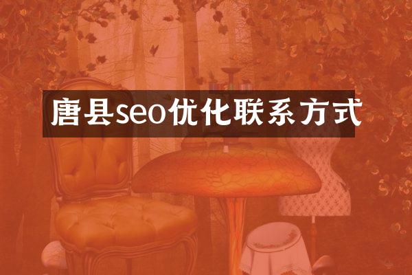唐县seo优化联系方式