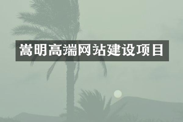 嵩明高端网站建设项目