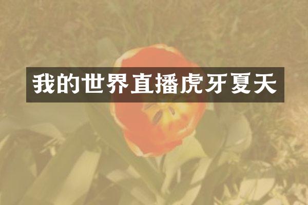 我的世界直播虎牙夏天