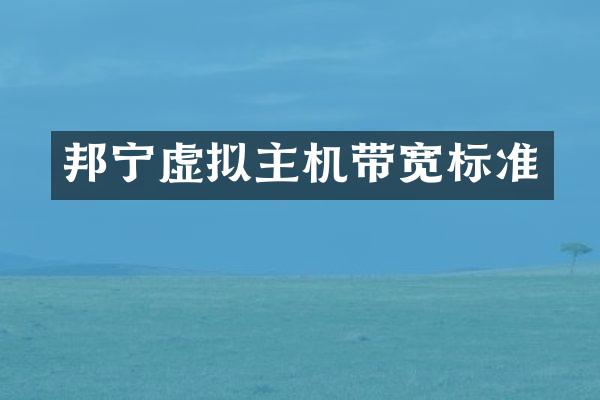 邦宁虚拟主机带宽标准