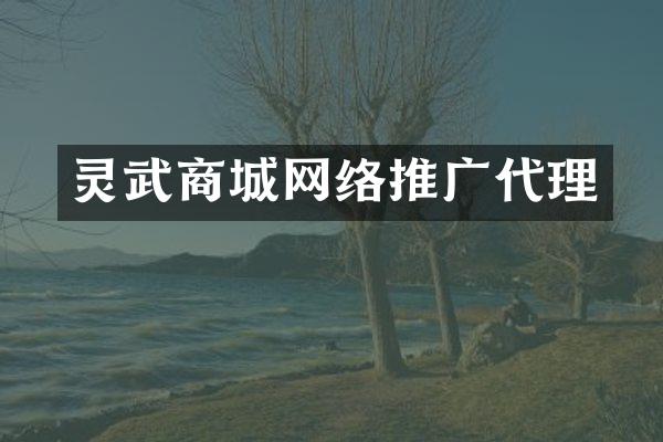 灵武商城网络推广代理