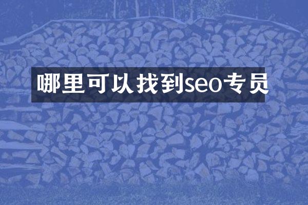 哪里可以找到seo专员
