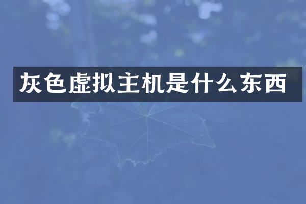 灰色虚拟主机是什么东西