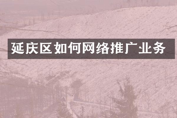 延庆区如何网络推广业务