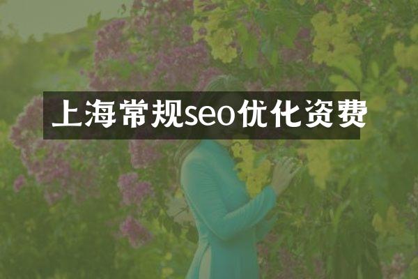 上海常规seo优化资费