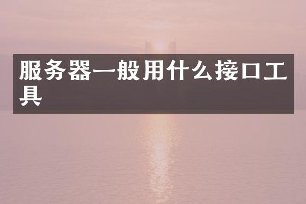 服务器一般用什么接口工具