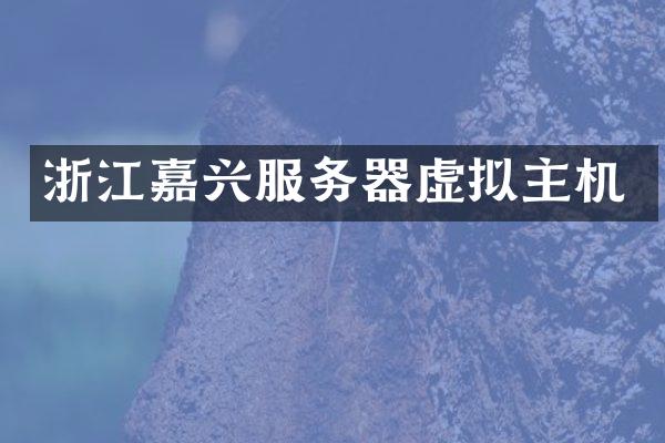 浙江嘉兴服务器虚拟主机