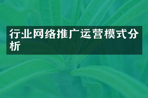 行业网络推广运营模式分析