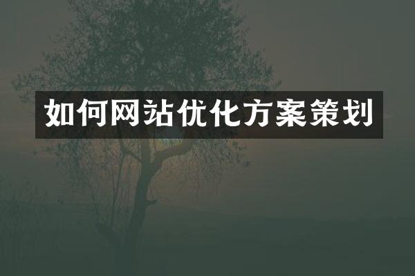 如何网站优化方案策划