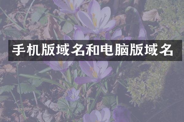 手机版域名和电脑版域名