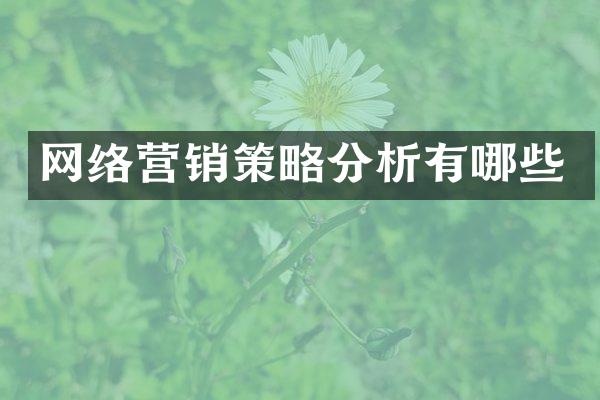 网络营销策略分析有哪些
