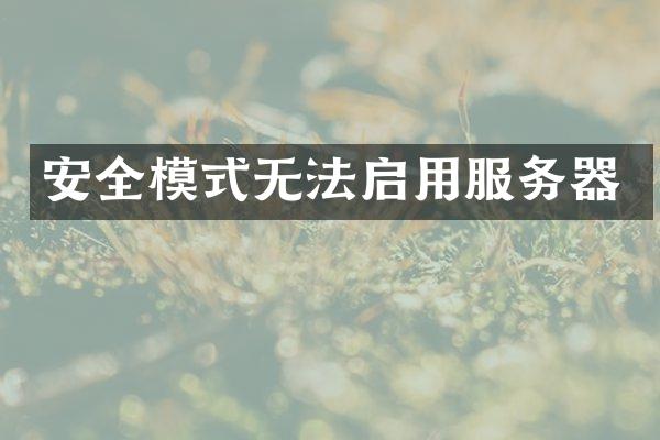 安全模式无法启用服务器