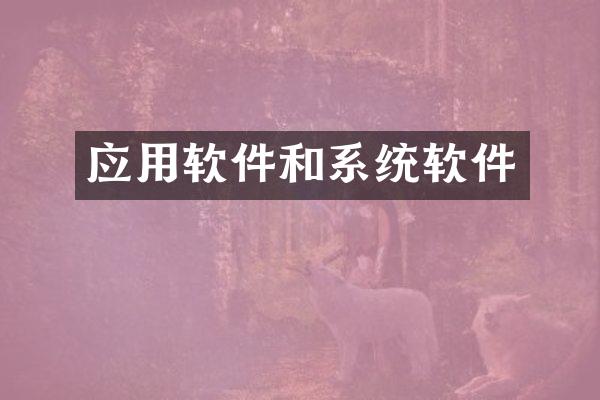 应用软件和系统软件