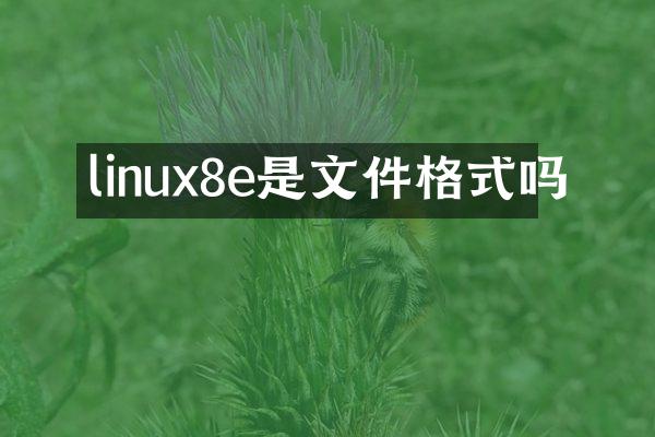 linux8e是文件格式吗