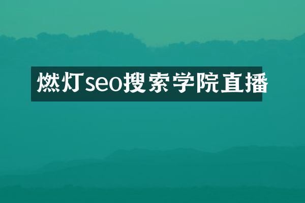 燃灯seo搜索学院直播