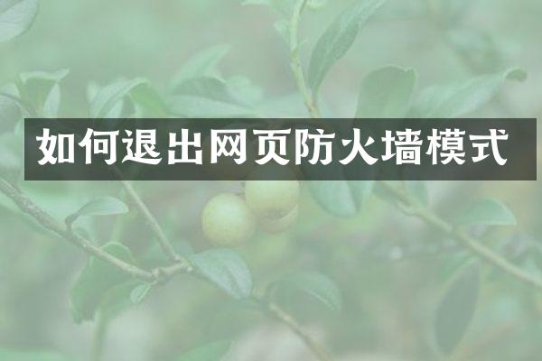 如何退出网页防火墙模式