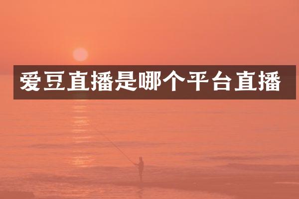 爱豆直播是哪个平台直播