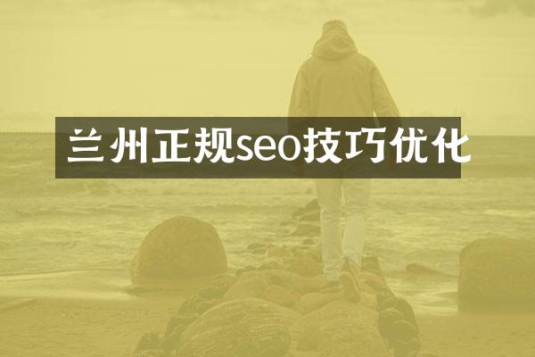 兰州正规seo技巧优化